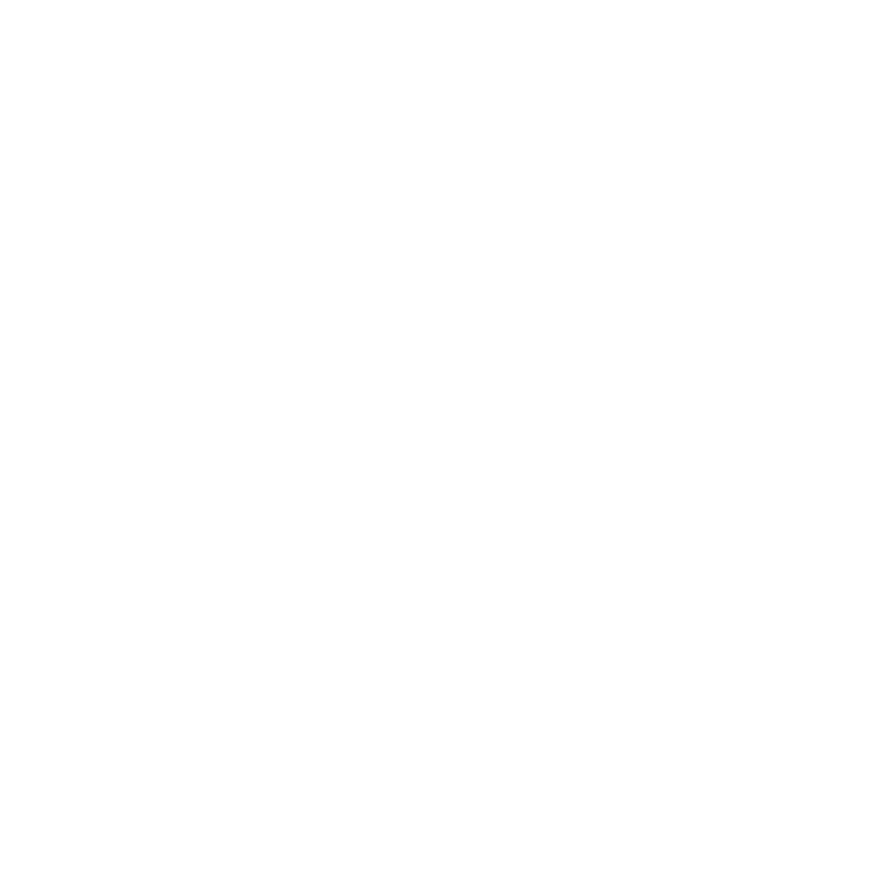 icons inspection