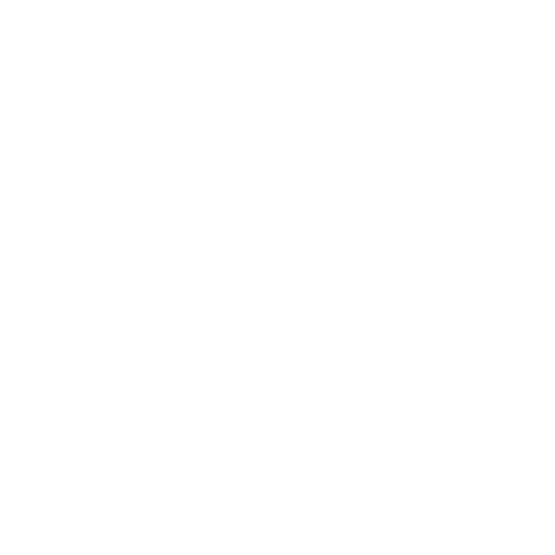 icons repair
