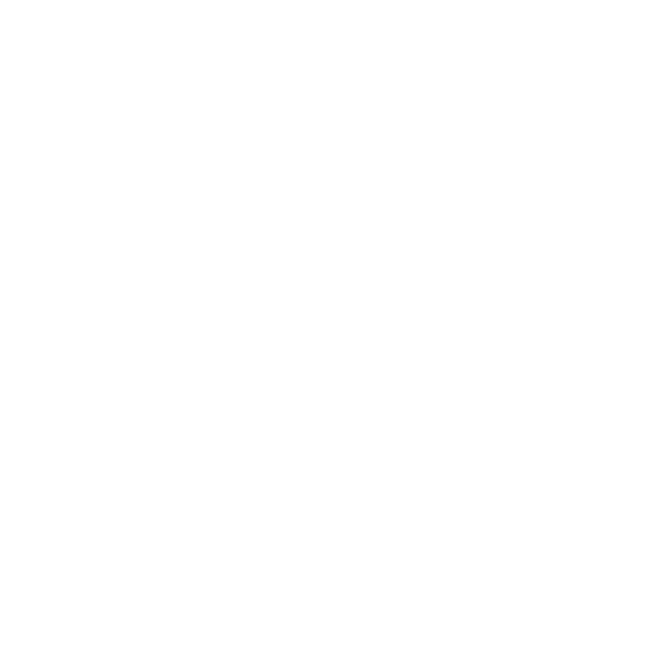 shingle roof