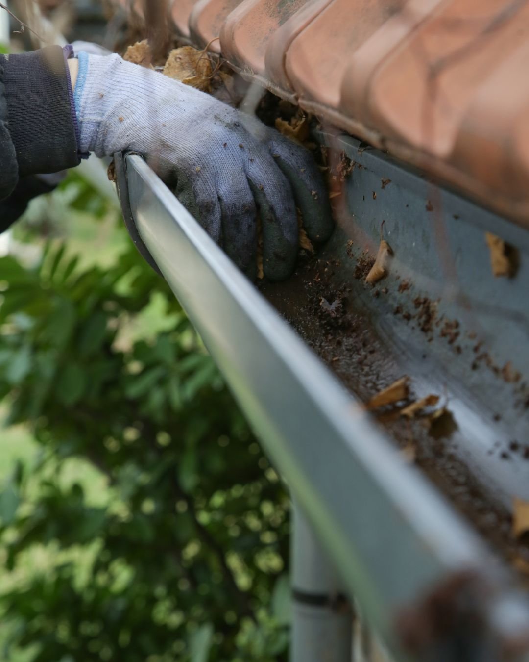 Cleaning the gutter from autumn leaves