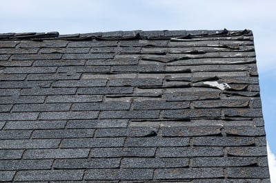 Is It Time for a New Roof? 5 Signs to Look For