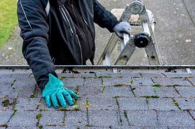 7 Signs You Need a Professional Roof Inspection